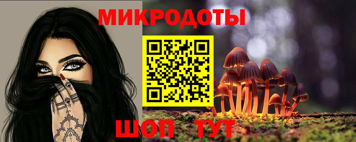 Псилоцибиновые грибы мицелий Новороссийск