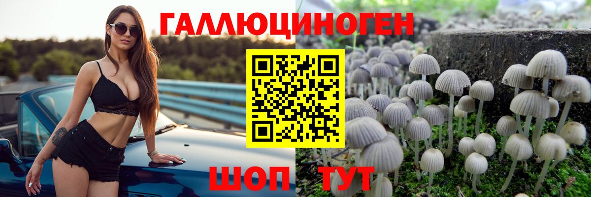 Галлюциногенные грибы мицелий  Вход с VPN  Новороссийск 